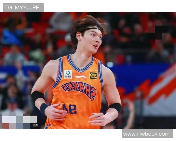 王哲林的篮球之路：从青涩少年到CBA明星的成长历程与背后故事