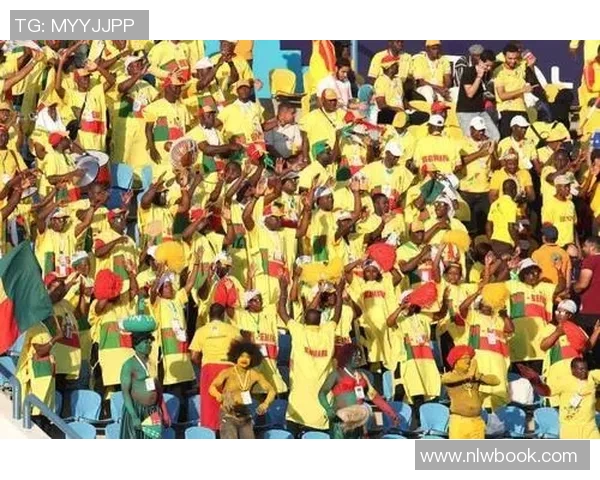 贝宁与喀麦隆足球赛即时比分更新及精彩赛事回顾