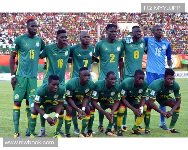 非洲队与国际队阵容对比分析揭示各自优势与战术布局 非洲队与国际队阵容对比分析揭示各自优势与战术布局