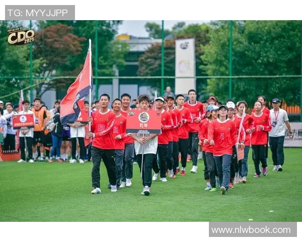 飞盘热潮下的成都飞盘队意识探讨与发展展望 飞盘热潮下的成都飞盘队意识探讨与发展展望