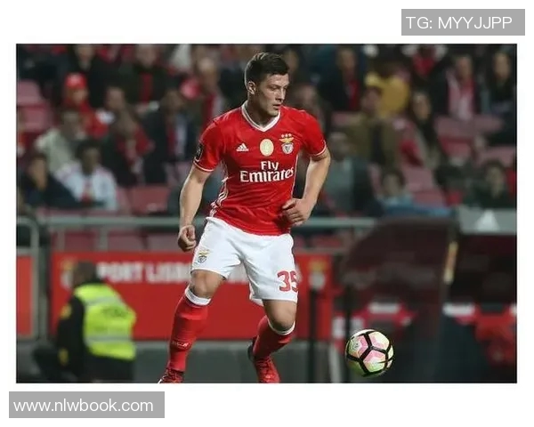 马里与法国足球对决前瞻分析及竞彩推荐策略 马里与法国足球对决前瞻分析及竞彩推荐策略