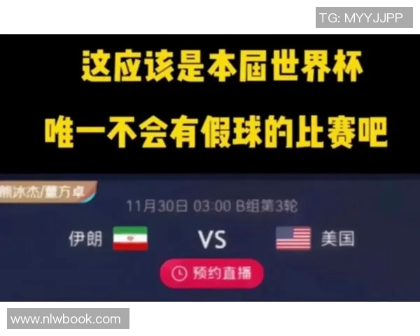 伊朗与日本裁判组的较量背后隐藏的故事与争议分析